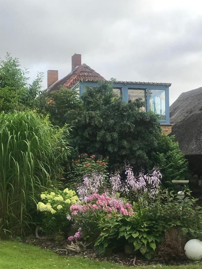 Hering Fewo II Apartment Balcony Wiek auf Rügen Eksteriør billede